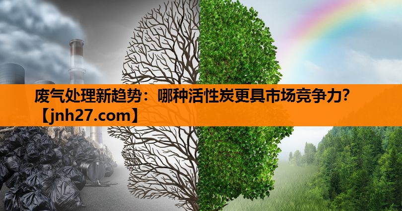 废气处理新趋势：哪种活性炭更具市场竞争力？